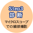 step3 ff